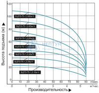 Скважинный насос Водоток БЦПЭ 75-1.2-63м-Ч
