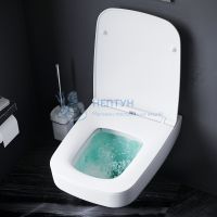 Унитаз подвесной безободковый с сиденьем микролифт Am.Pm Inspire 2.0 C50A1700SC