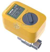 Кран шаровый с электроприводом Neptun Profi 12В 1/2"