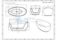 Акриловая ванна Black & White Swan 170x88 отдельностоящая овальная 225SB00