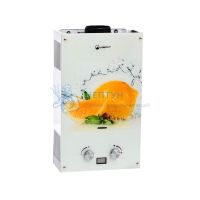 Газовый проточный водонагреватель (газовая колонка) Wertrus 10EG Lemon