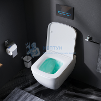 Унитаз подвесной AM.PM Gem C901701SC с сиденьем безободковый