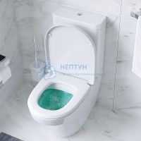 Унитаз-компакт Am.Pm Inspire C508607WH