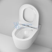 Подвесной унитаз 54 см FlashClean с сиденьем микролифт Func Am.Pm C8F1701SC