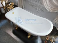 Ванна Эстет Carskaya 170 silk ФР-00014393 170х73 отдельностоящая асимметричная