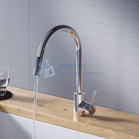 Кухонный смеситель вытягивающимся изливом Logic Dorff Logic D3007500