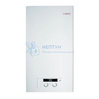 Настенный газовый двухконтурный котел Protherm Рысь НК24 (24 кВт)