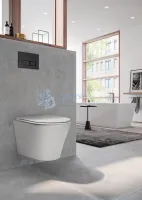 Унитаз подвесной белый с сиденьем микролифт TECEspring K 9700997