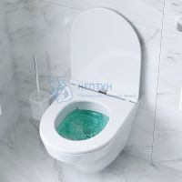 Унитаз подвесной безободковый Am.Pm Inspire C501700WH